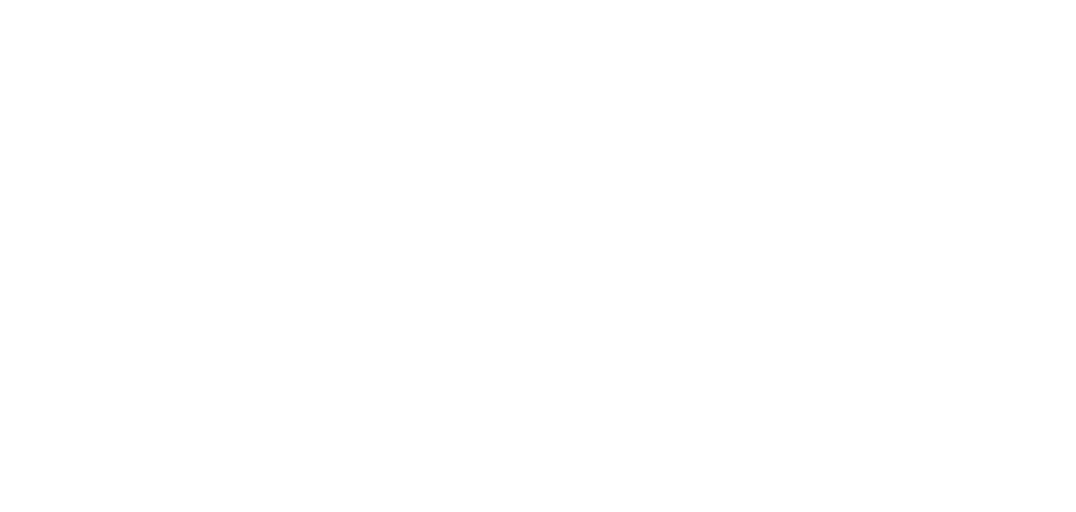 Logo Southern Cross