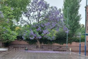 583535563_1448570670604990_5182681886747663695_n