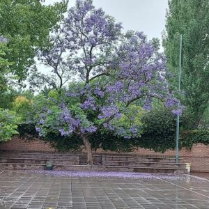 583535563_1448570670604990_5182681886747663695_n 583535563_1448570670604990_5182681886747663695_n